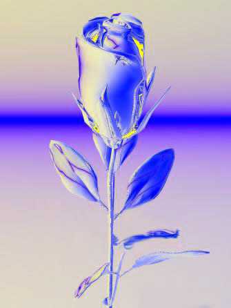 Don't be shy baby, click on me!!!!